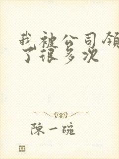 我被公司领导C了很多次