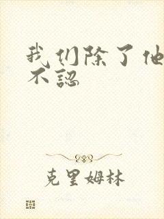 我们除了他谁都不认