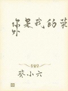 你是我的荣耀番外封面