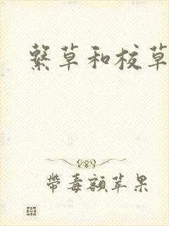 系草和校草封面