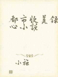 都市收美录宁素心小说
