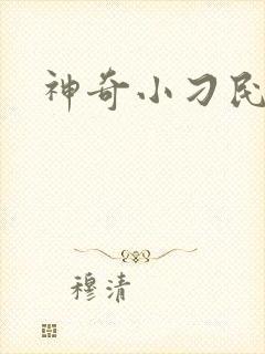 神奇小刁民