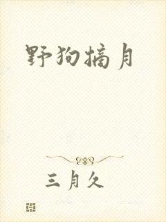 野狗摘月