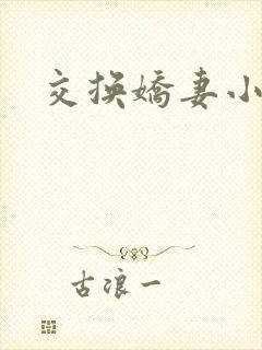 交换娇妻小说