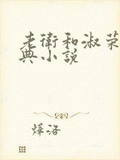 老卫和淑荣的经典小说