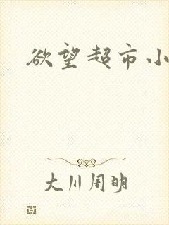 欲望超市小说