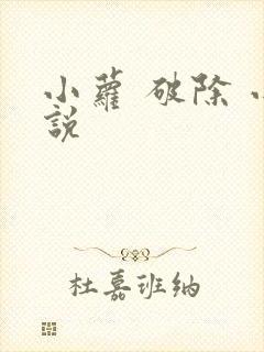 小萝 破除 小说