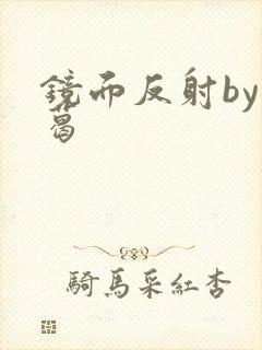 镜面反射by九葛