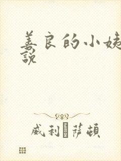善良的小姨子小说