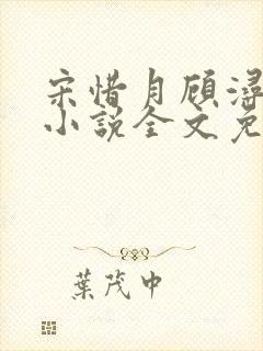 宋惜月顾浔渊的小说全文免费阅读