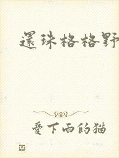 还珠格格野传封面