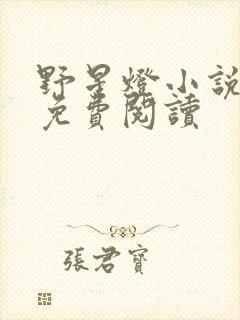 野星灯小说全文免费阅读