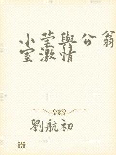 小莹与公翁办公室激情