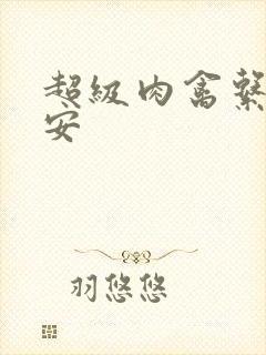 超级肉禽系统保安