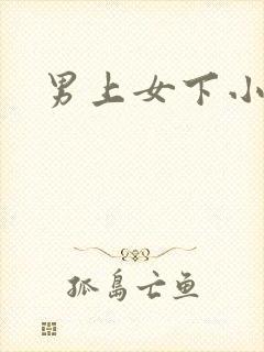 男上女下小说