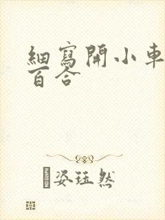 细写开小车车的百合封面