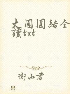 大团圆结全文阅读txt
