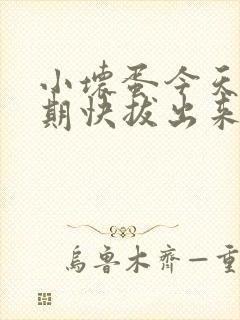 小坏蛋今天危险期快拔出来