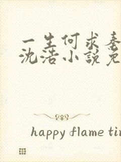 一生何求秦菲雪沈浩小说免费阅读全文封面