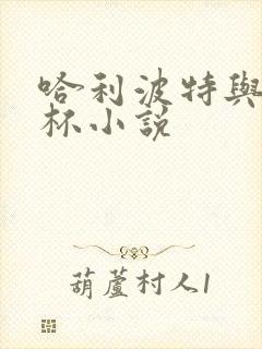 哈利波特与火焰杯小说封面