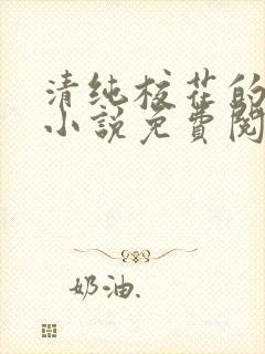 清纯校花的秘密小说免费阅读