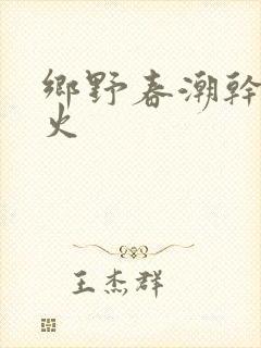 乡野春潮干柴烈火封面