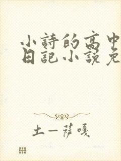 小诗的高中成长日记小说免费阅读