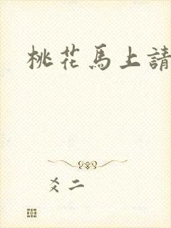 桃花马上请长缨封面
