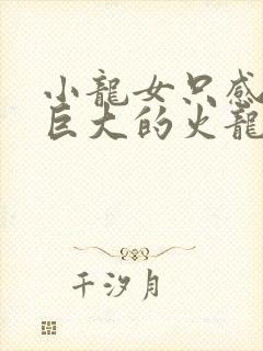 小龙女只感觉那巨大的火龙枪封面