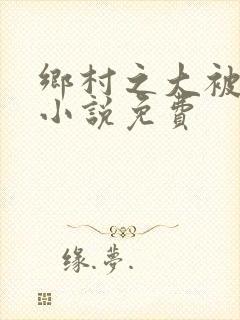 乡村之大被同眠小说免费封面