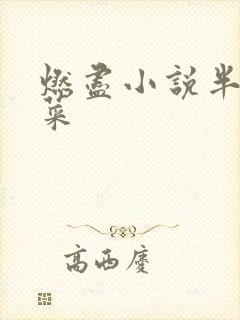 燃尽小说半截白菜封面