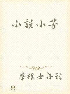 小说小芳