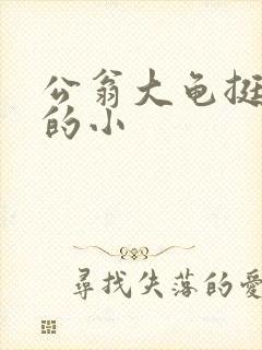 公翁大龟挺进我的小封面