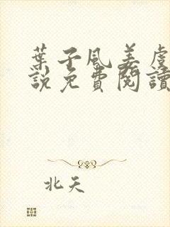 叶子风姜虞雪小说免费阅读封面