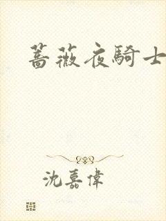 蔷薇夜骑士