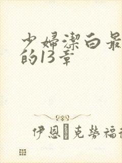 少妇洁白最刺激的13章封面