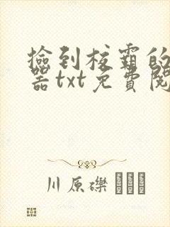 捡到校霸的遥控器txt免费阅读