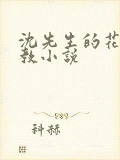 沈先生的花式调教小说