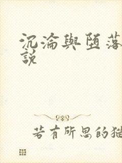 沉沦与堕落的小说封面