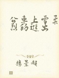 公车上雪柔被猛烈的进出