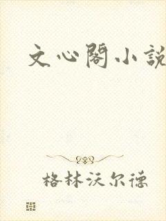 文心阁小说