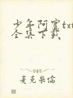 少年阿宾txt全集下载