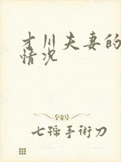 才川夫妻的恋爱情况封面