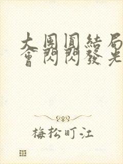 大团圆结局亲情会闪闪发光封面