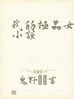 我的极品女老师小说