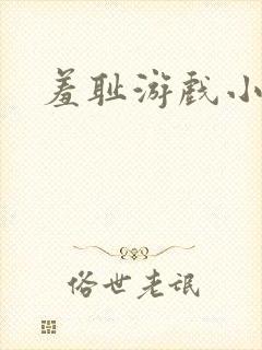 羞耻游戏小说封面