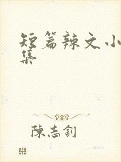 短篇辣文小说合集封面