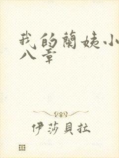 我的兰姨小说第八章封面