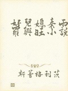 好儿媳秦雨罗明罗兴旺小说