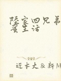 陆家四兄弟的甜蜜生活
